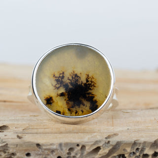 No.887 - Silver Dendritic Agate Ring - Size O