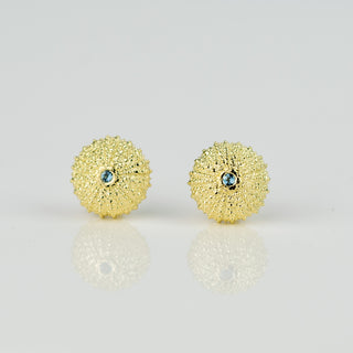 Sea Urchin Aquamarine Gold Studs