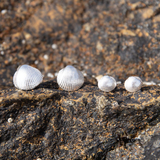 Mini Silver Cockle Shell Stud Earrings