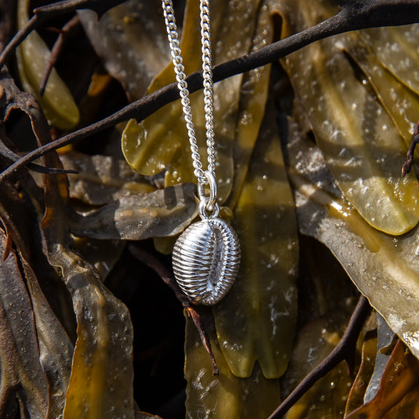 Papua Decorative Shell Necklace — Shimu