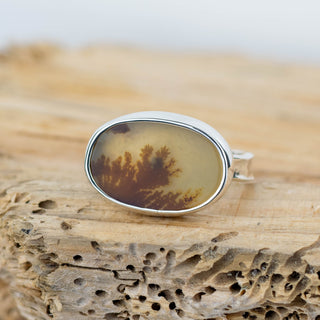 No.564 - Silver Dendritic Agate Ring - Size N