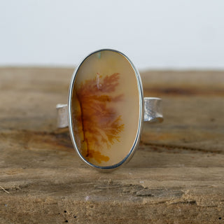 No.108 - Silver Dendritic Agate Ring - Size X 1/2