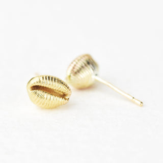 Mini Gold Cowrie Shell Studs