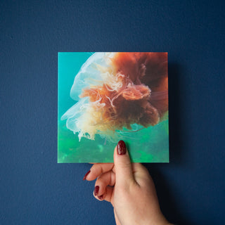 Four Underwater Photography Greetings Cards - Pack Four